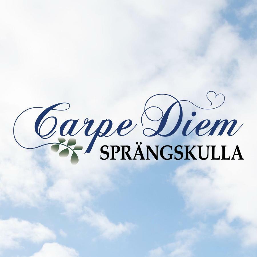 Carpe Diem Spraengskulla Veddige エクステリア 写真